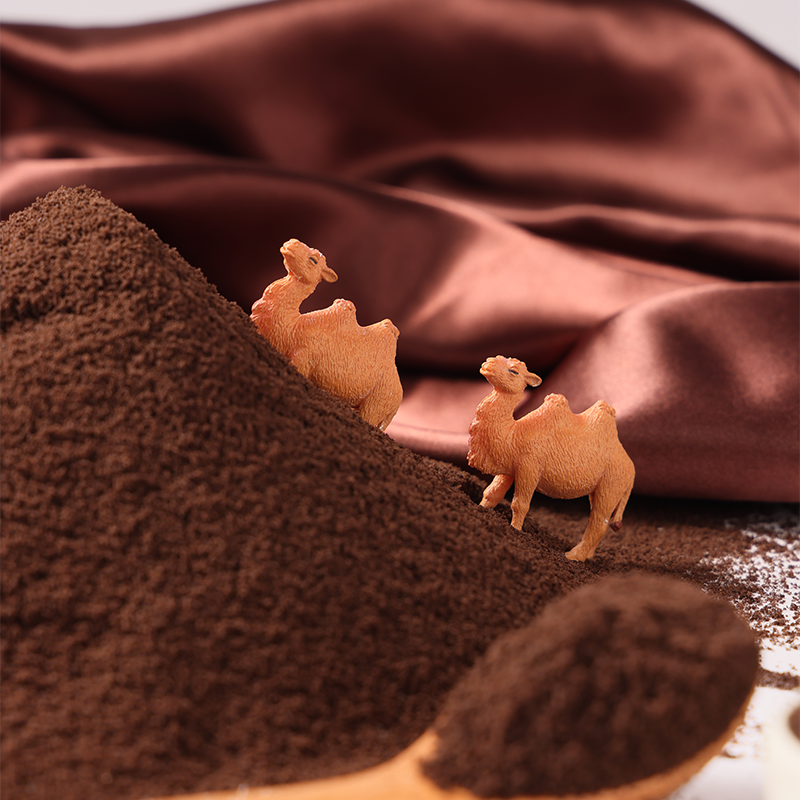 Galleta De Cacao En Polvo