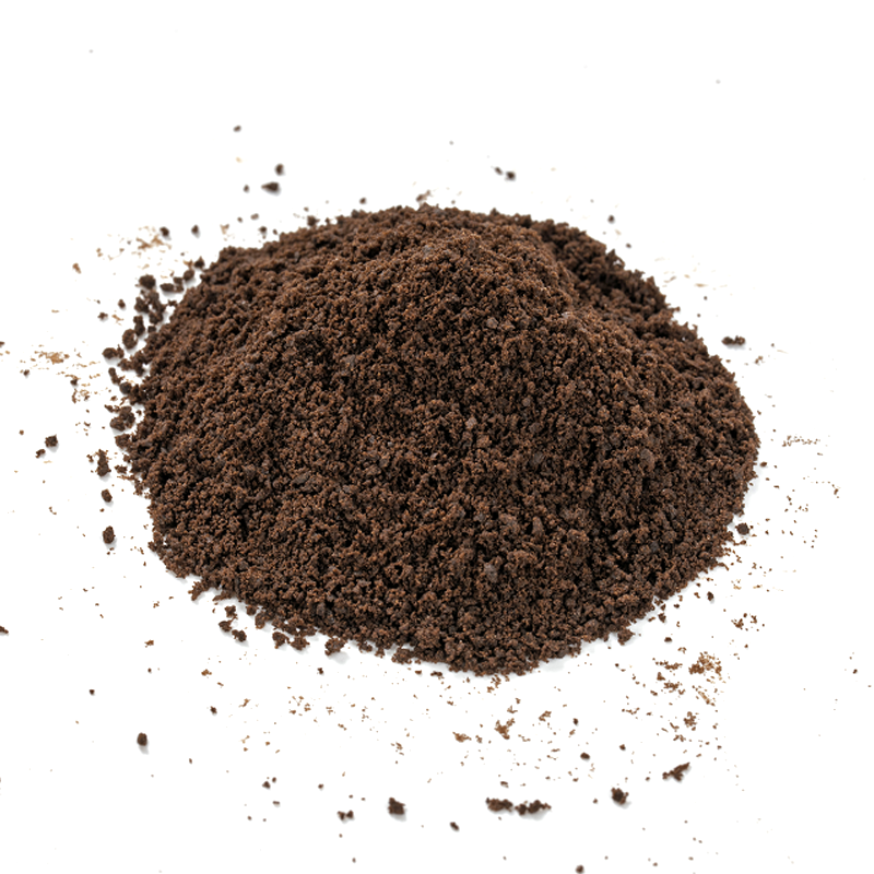 Galleta De Cacao En Polvo